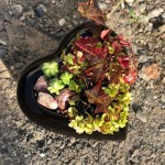 Keramični lonec Piano srce 31.116.17